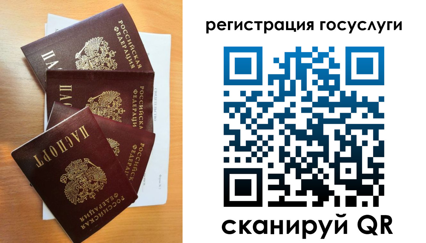 прописка в Черняховске
